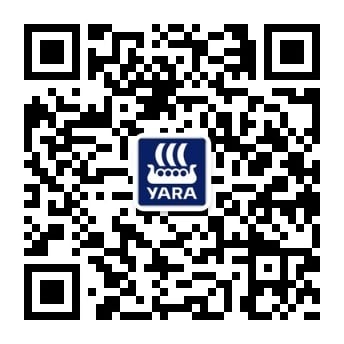 如果您现在是用电脑阅读此页，请用您的微信中”扫一扫“功能扫描左侧的二维码来关注”雅苒中国“微信公共账号。 
