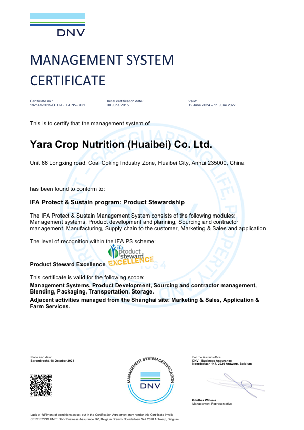 雅苒IFA审计证书