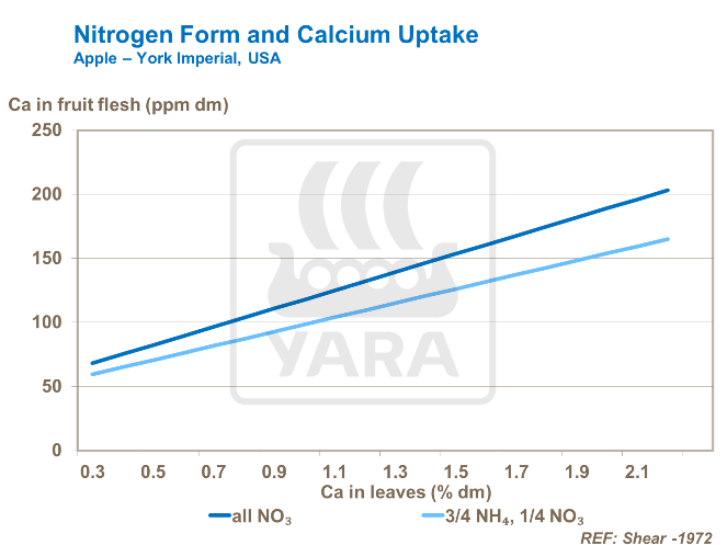 氮形态与钙的吸收