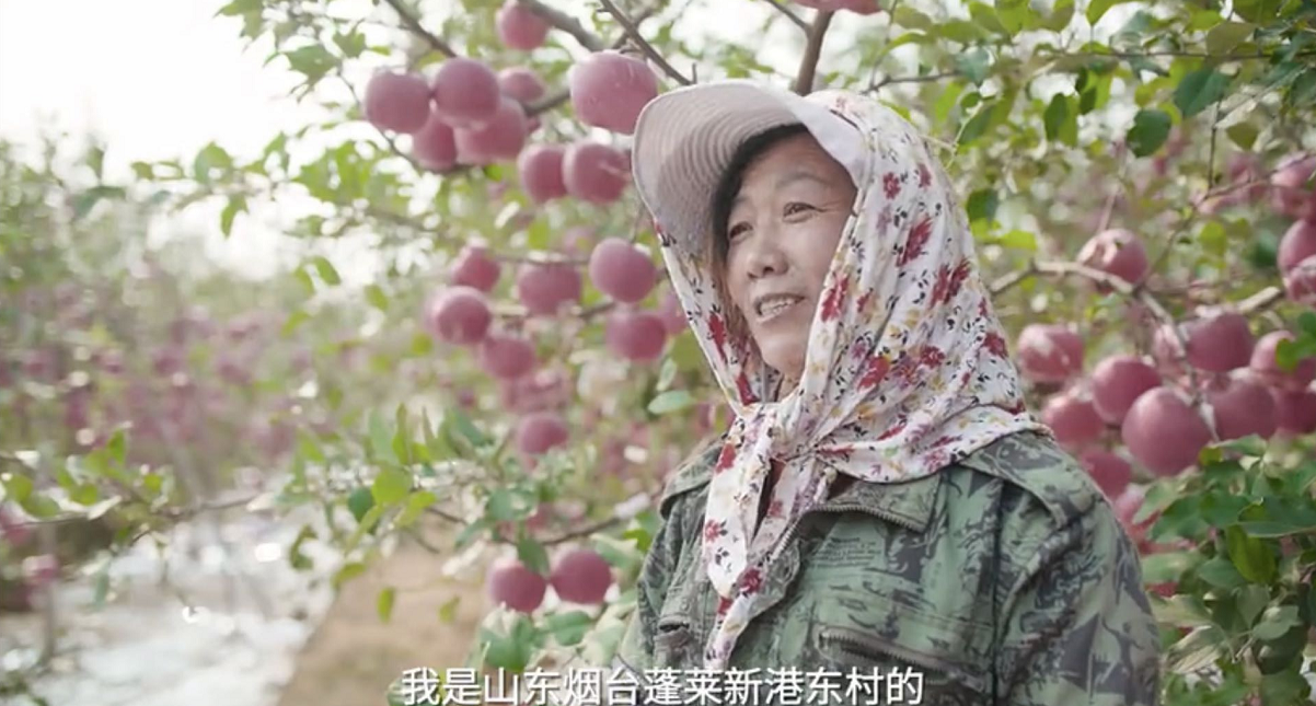 谢辉
