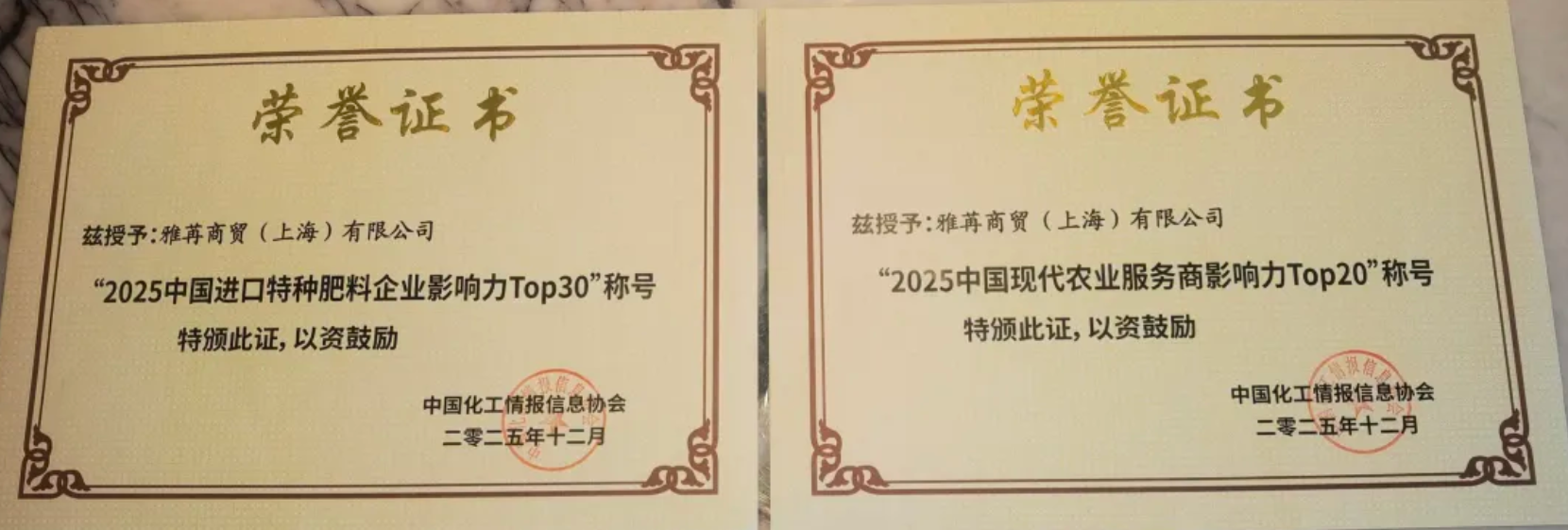 连续五年！雅苒中国再获双项影响力荣誉