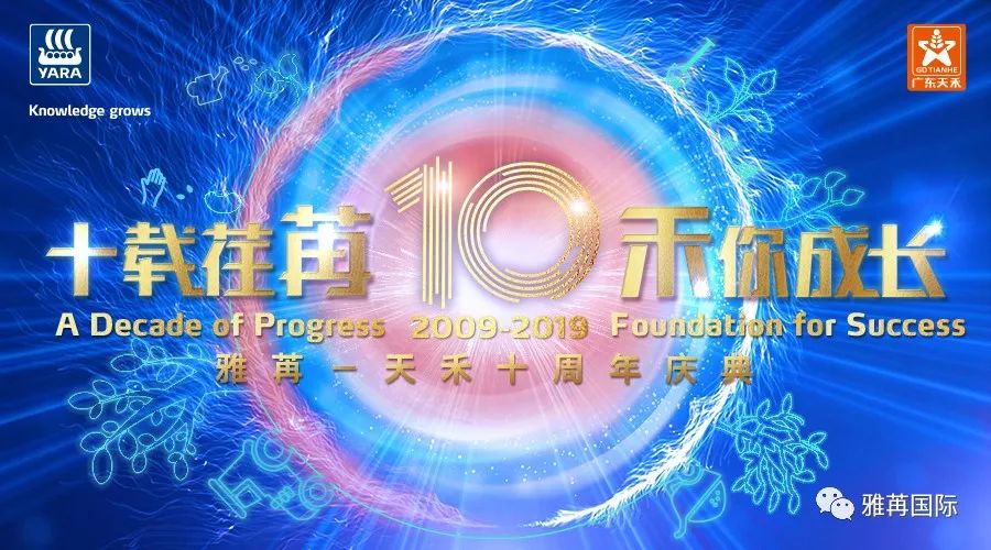 雅苒天禾十周年
